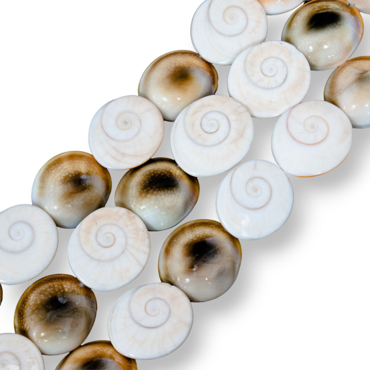 Conchiglia Naturale 18-25mm