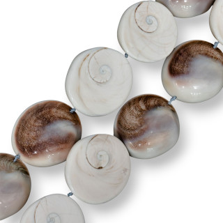 Conchiglia Naturale 36-50mm