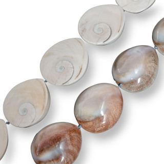 Conchiglia Naturale Goccia 27-30x34-40mm