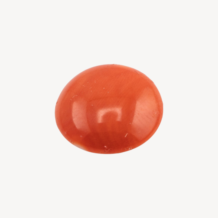 Cabochon di Corallo Rosso Italiano Naturale Premium 14,5mm 1pz